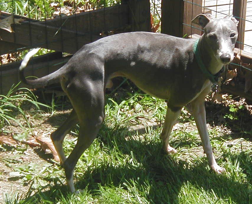 rocky3.JPG (170400 bytes)