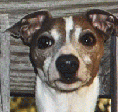 nanook4_sm.gif (12416 bytes)