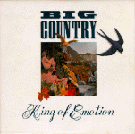 BIGCD 5