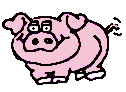 pigani.gif