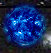 planet004.jpg