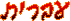 Hebrew