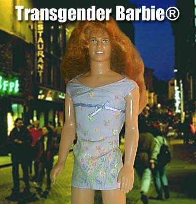 Transgender barbie
