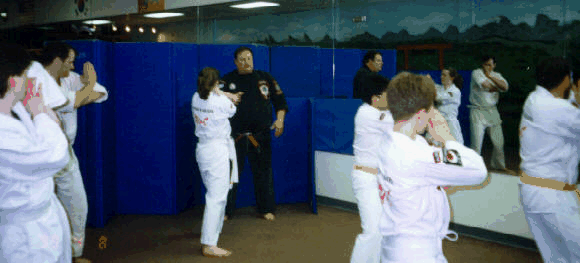 Checking principles in Kenpo