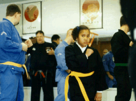 Checking principles in Kenpo