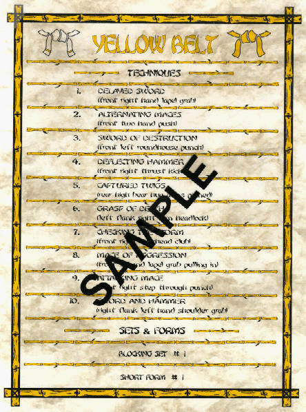 Yellow Belt Sample Poster