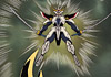 Anime Breakdown: Ronin Warriors