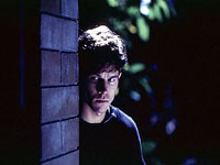 Guilty Viewing Pleasures: Fear