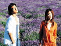 Two Degrees: Lavender