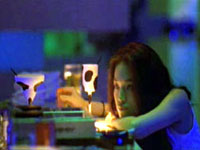 Two Degrees: Millennium Mambo (TW)