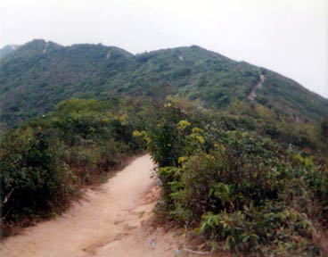 Hong Kong: The Dragon's Back