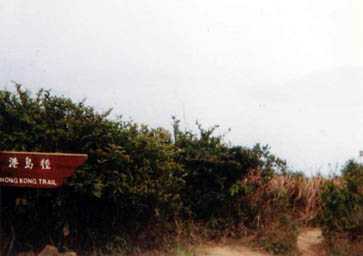 The Hong Kong Trail