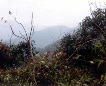 The Hong Kong Trail
