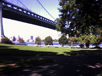 Wanderlust:  New York City