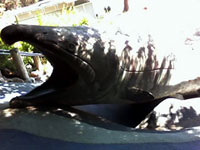 Wanderlust: Seattle, Washington