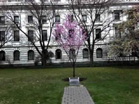 Wanderlust: Washington D.C.