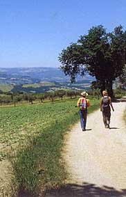 strada di campagna