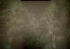 pic17.JPG (125527 byte)