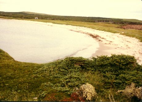 La Saddle versant Sud 198_