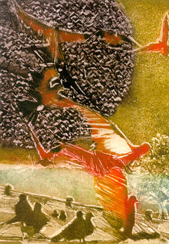 30.jpg (56894 bytes)