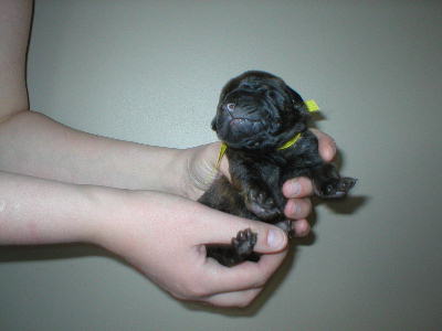 Mouse Over For Updated Picture