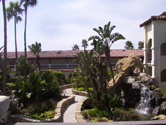 Room view