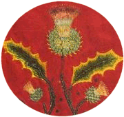 thistle