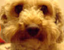 You're in my face!