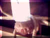 6_cera_4.jpg (26854 byte)