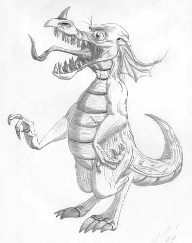 Alligator