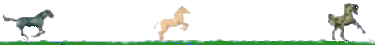 /user/_horsebar_.gif