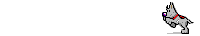 /user/anim0002.gif