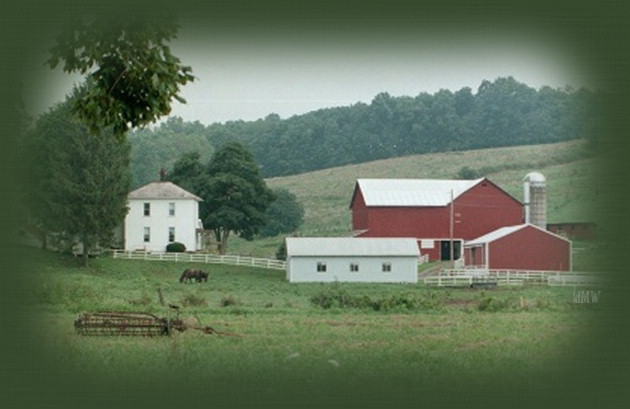 Top Image