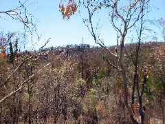 IMG_1931