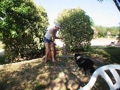 IMG_1946