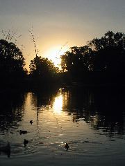 IMG_1658