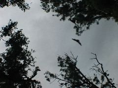 IMG_1859