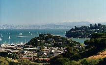 sffromtiburonR