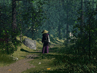 The Wanderer