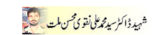 Article on Dr.Muhammad ali Naqvi