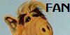 Alf FL