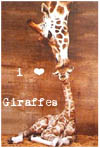 Giraffe FL