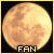 Moon FL