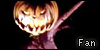 Nightmare Before Christmas FL