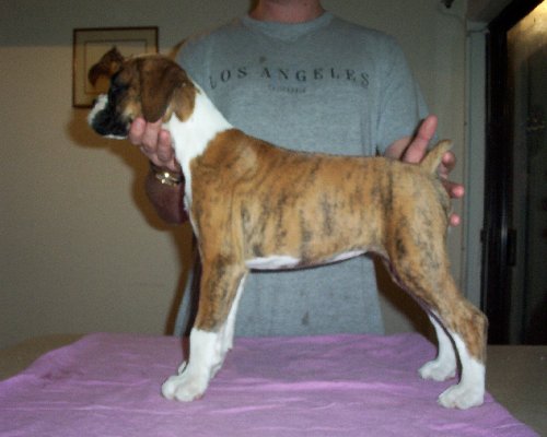  10weeks old