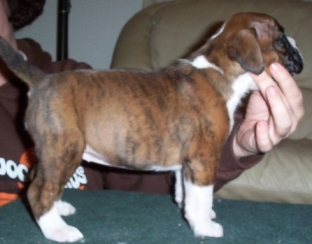 At 4 weeks almost a professional already....