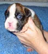  Only 2 and a half weeks old