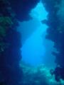 Swimtrough