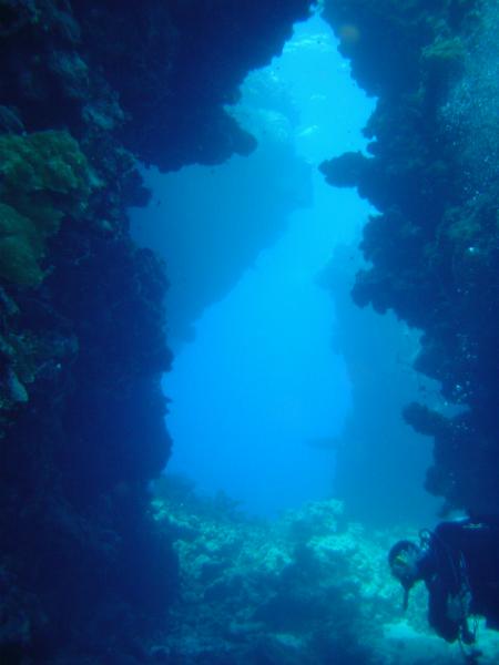 Swimtrough