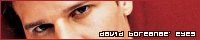 Intense - The David Boreanaz Eyes Physical Fanlisting